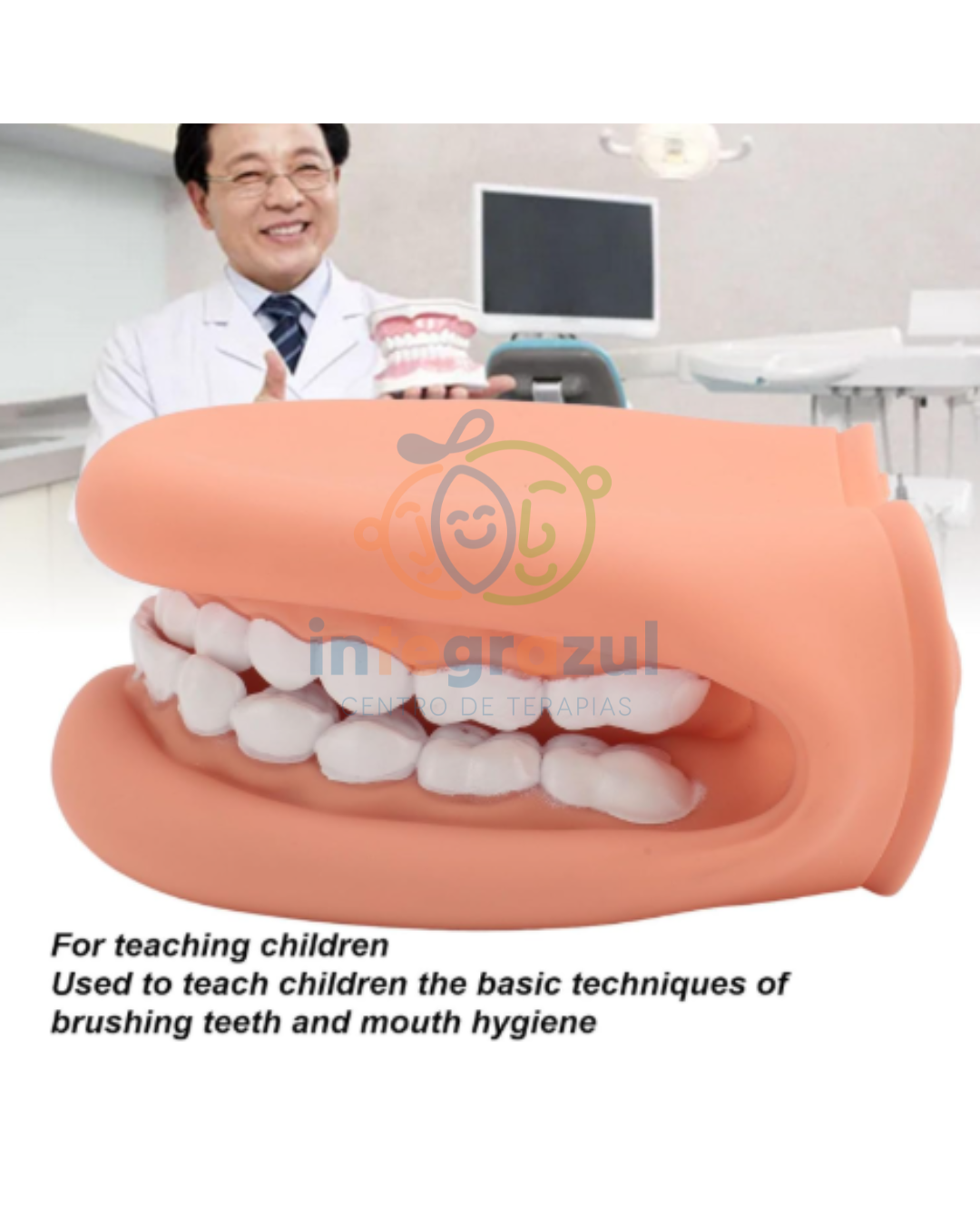 Modelo de Boca Didáctica XL (silicona) – Entrenamiento de higiene