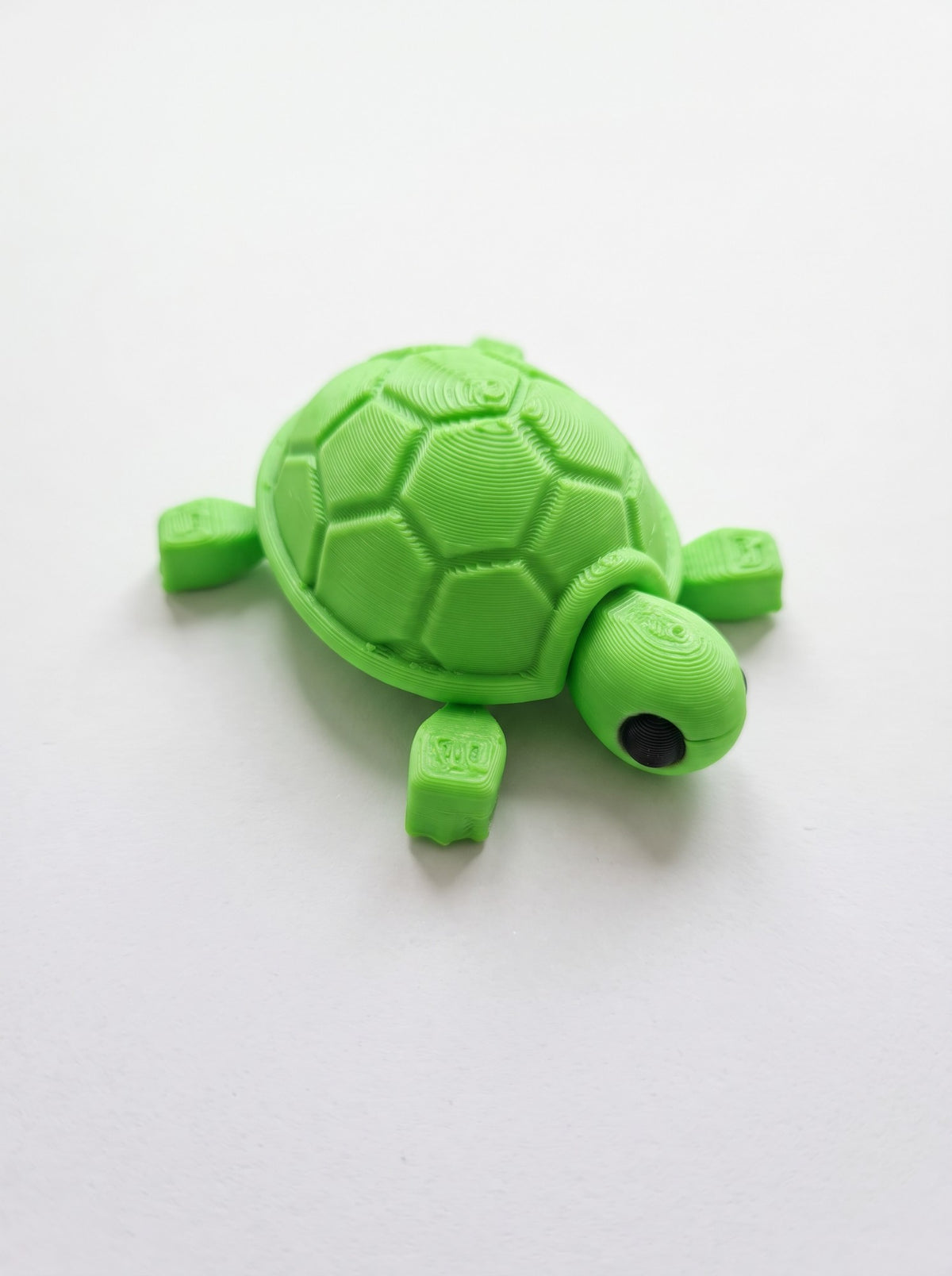 Tortuga articulada 3D verde